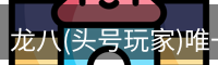 龙八(头号玩家)唯一官方网站